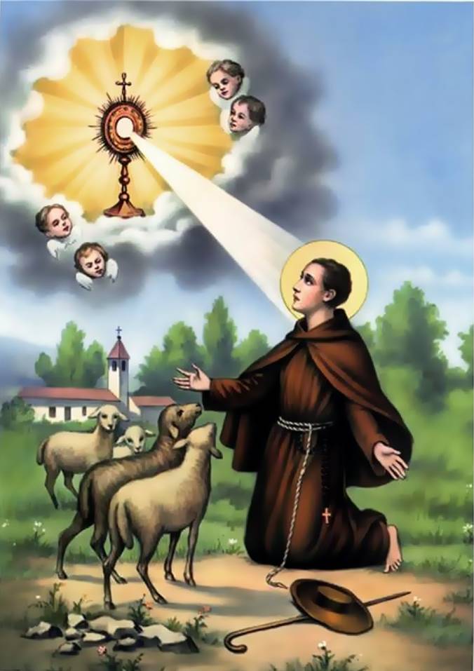 (Image de saint Pascal Baylon)